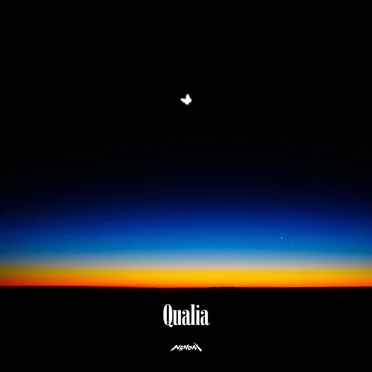 Qualia by NANONI - album cover