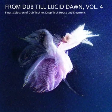 From Dub Till Lucid Dawn, Vol. 4 by Various Artists - album cover