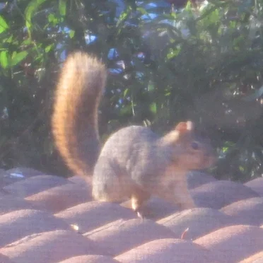 Bedroom, September 28th, 2019, 5:29 PM