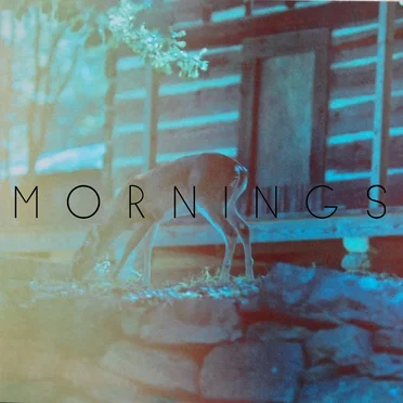 Mornings