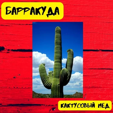 Кактусовый мёд