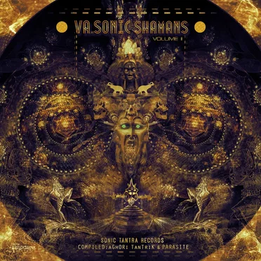 Sonic Shamans, Volume II by Various Artists - album cover