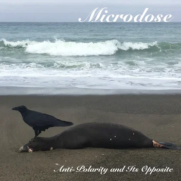 Anti-Polarity and Its Opposite by Microdose - album cover