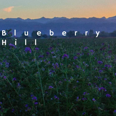 Blueberry Hill