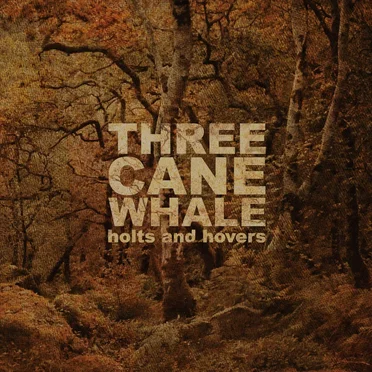 Holts and Hovers by Three Cane Whale - album cover