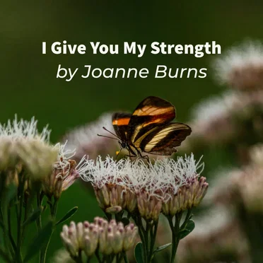 I Give You My Strength
