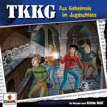 TKKG 216: Das Geheimnis im Jagdschloss by Stefan Wolf - album cover