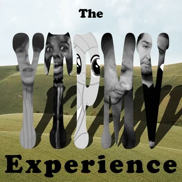 The YTPMV Experience by Miss_LMI - album cover