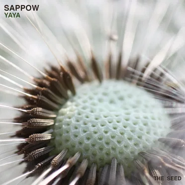 YaYa by Sappow - album cover
