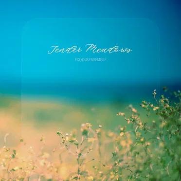 Tender Meadows by Exodus Ensemble - album cover