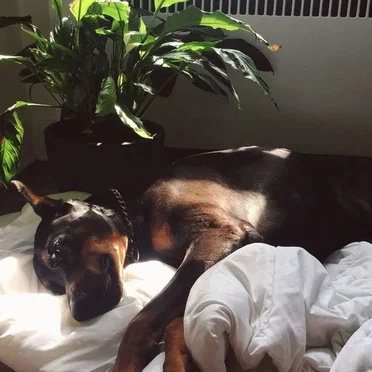 I Keep Scrolling Wishing You Would Comment....