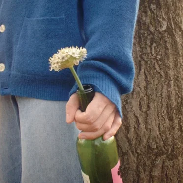 Lost in Her Flowers by LIGHTERS - album cover