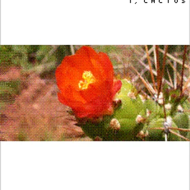 I, Cactus by I, Cactus - album cover