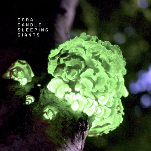 Sleeping Giants