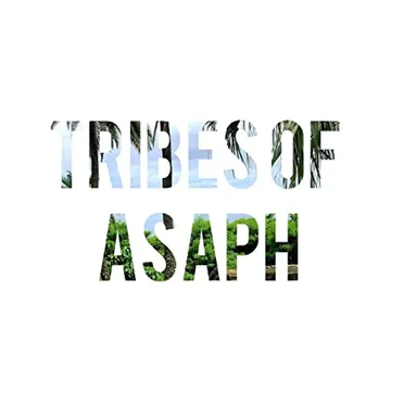 Standing Tall (Acoustic) by Tribes of Asaph - album cover