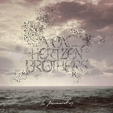 In Murmuration by Von Hertzen Brothers - album cover