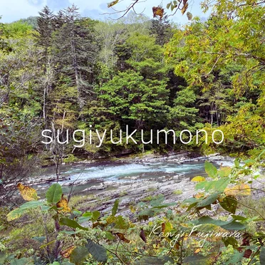 sugiyukumono by Kenji Fujiwara - album cover