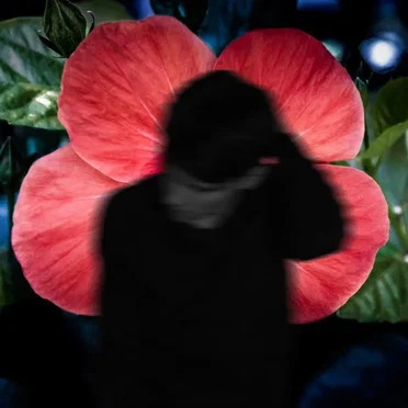 Ŷã tébŷã ñé õtdãm