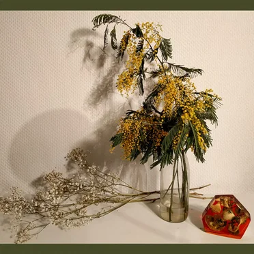 Le Bûcher des Incohérences by A444 - album cover