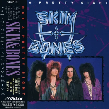 Not A Pretty Sight by Skin N’ Bones - album cover