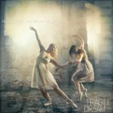 Dance While the World Is Burning by Fragile Dream - album cover