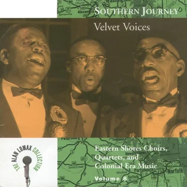 Southern Journey, Volume 8: Velvet Voices by Various Artists - album cover