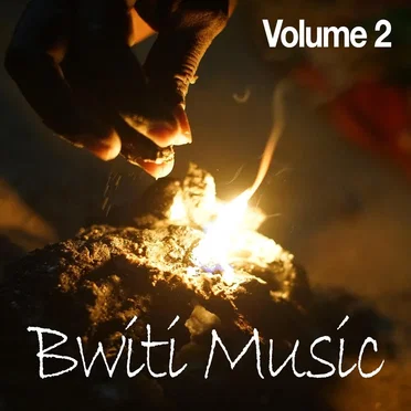 Bwiti Music, Volume 2 by Various Artists - album cover