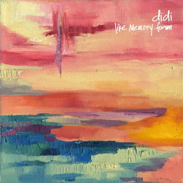 Like Memory Foam by Didi - album cover