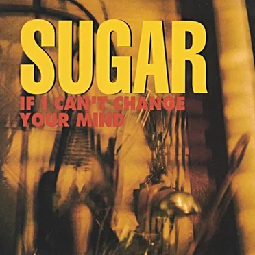 If I Can't Change Your Mind