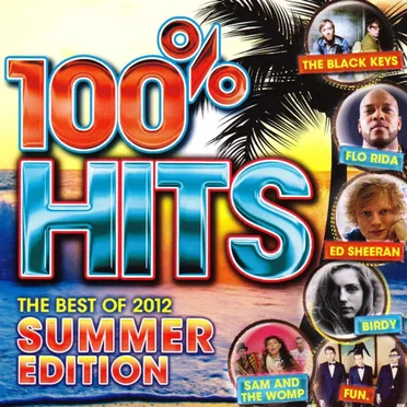 100% Hits: The Best of 2013 - Summer Edition by Various Artists - album cover