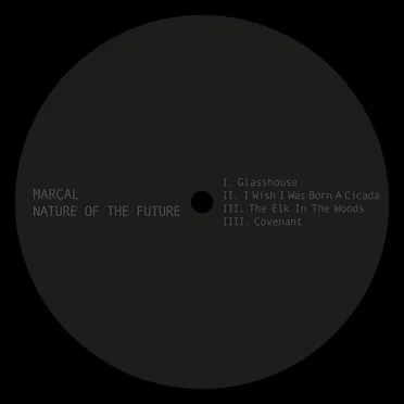 Nature Of The Future by Marcal - album cover