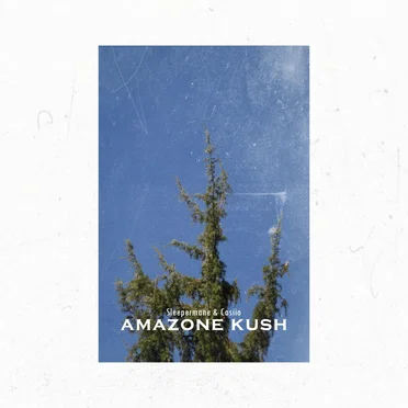 Amazone Kush