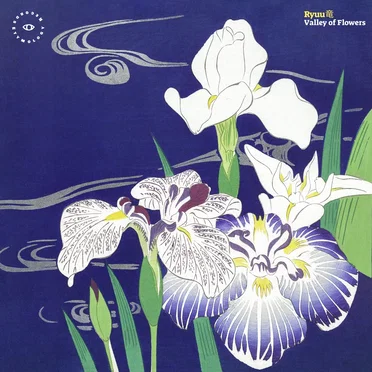 Valley of Flowers by ryuu竜 - album cover