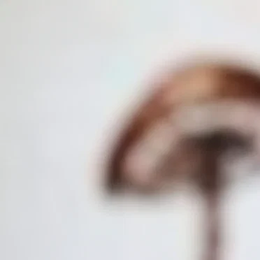 For / Not for John Cage