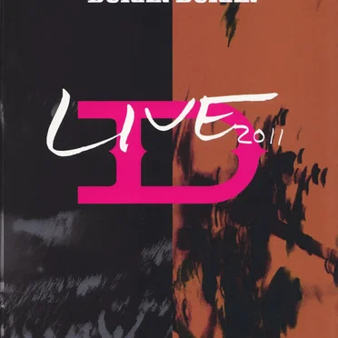 Live 2011: A Diamond in the Mind