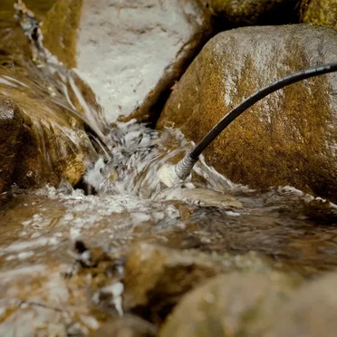 Deep in the Current of a Stream