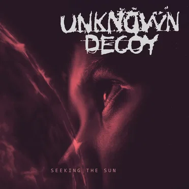 Seeking the Sun by Unknown Decoy - album cover