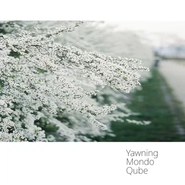 Yawning Mondo Qube by Yawning Mondo Qube - album cover
