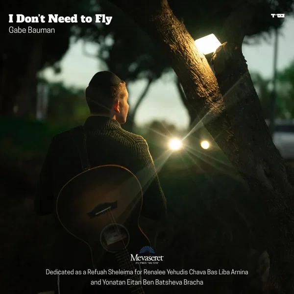 I Don't Need to Fly
