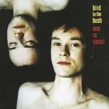 Anyone for Heartaches? by Bird in the Bush - album cover