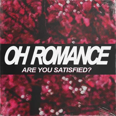 Are You Satisfied?