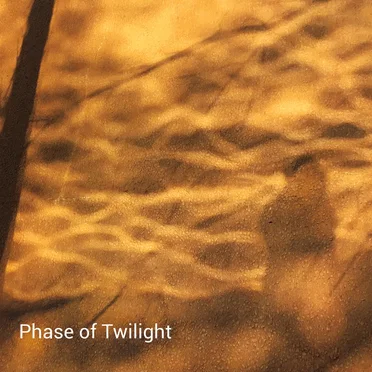 Phase of Twilight by Phase of Twilight - album cover