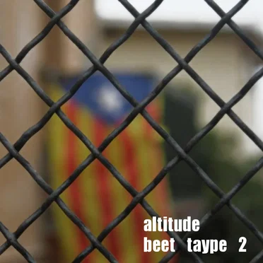 beet taype 2