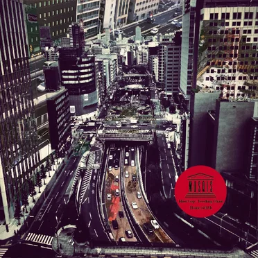 Idiot / Feeding / Home (version2)