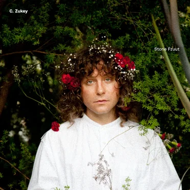 Stone Fruut by C. Zukey - album cover