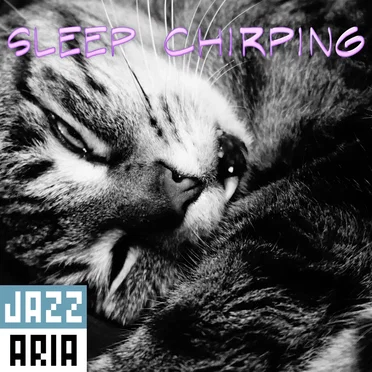 Sleep Chirping by Jazzaria - album cover