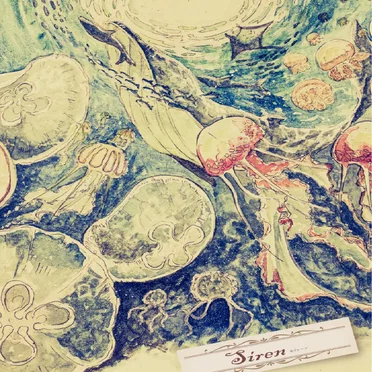 Siren by rujou - album cover