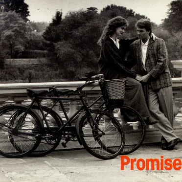 The Emotion Collection: Promises by Various Artists - album cover