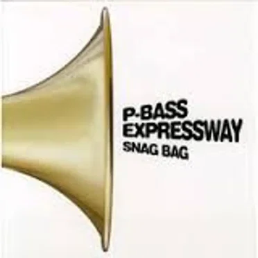 Snag Bag
