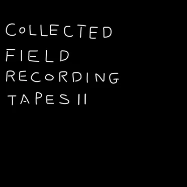 COLLECTED FIELD RECORDING TAPES Ⅱ by yuzosuzuki - album cover